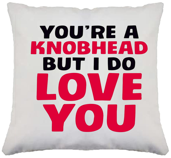 FUNNY VALENTINES CUSHION YOUR A K**B HEAD BUT I LOVE YOU