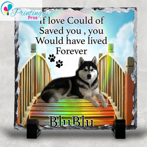 Personalised Rainbow Bridge Pet Dog Cat Photo Rock Slate Grave Memorial 20X20CM